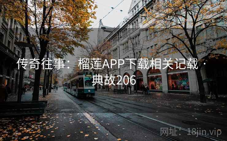 传奇往事：榴莲APP下载相关记载 · 典故206