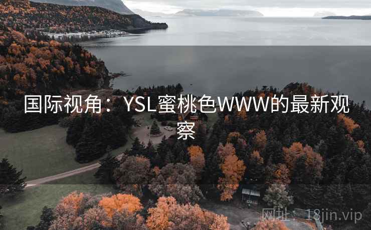 国际视角：YSL蜜桃色WWW的最新观察  第2张