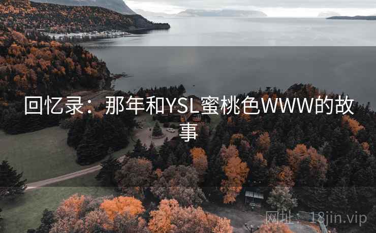 回忆录:那年和YSL蜜桃色WWW的故事 第2张 回忆录:那年和YSL蜜桃色WWW的故事 第2张